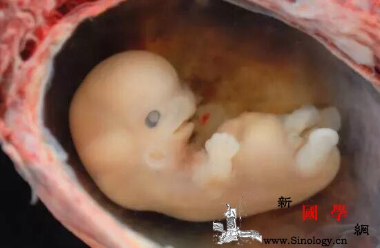 一位胚胎停育妈妈的自白书_超声-术后-妊娠-患者-
