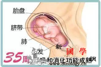 暖医孕期40周完全指导（第35周）_胎动-临产-阴道-出血-