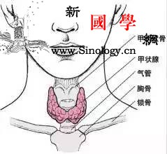 孕期遭遇蝴蝶杀手“甲亢”怎么办？_甲亢-甲状腺-症状-蝴蝶-