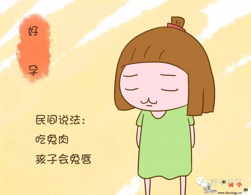 孕期大可以放心吃这几种肉那些民间说法太坑了_兔肉-孕期-蛋白质-鸽子-