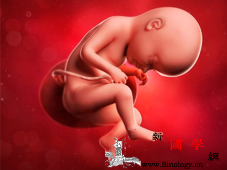 股骨长短多少是畸形_股骨-钙质-胎儿-畸形-