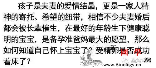 准妈妈们如有这几个感觉一个小生命在你肚肚里_肚里-感觉-生命-准妈妈们-
