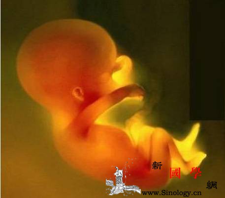 胎动异常是宝宝们正在呼救准妈妈别紧张_胎动-羊水-脐带-胎儿-