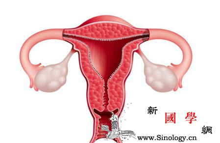 子宫内膜薄会影响到好孕吗？_胚胎-疏通-子宫-子宫内膜-怀孕准备