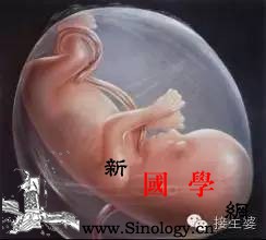 胎儿发育的七大黄金跳跃点孕妇必须要做的七件_胎儿-黄金-时间-胎教-
