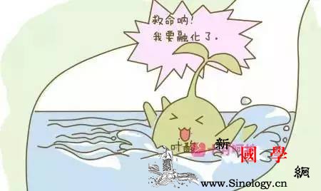 光知道补叶酸怎么补？补多少？你造吗？_微克-叶酸-孕期-代谢-