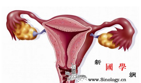 自己子宫后位会影响到怀孕吗？_输卵管-受孕-影响到-子宫-怀孕准备