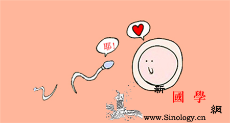 y精子在哪个季节最活跃想生男孩就不要错过这_卵子-精液-精子-夏季-生男生女