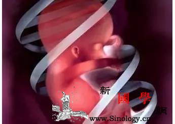 胎儿脐带绕颈会有危险吗？还能顺产吗？_胎位-脐带-胎儿-准妈妈-