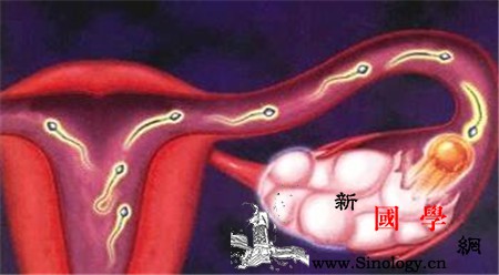 排卵期出血会影响受孕吗排卵期出血怎么办呢？_排卵期-受孕-腹痛-稀薄-怀孕准备