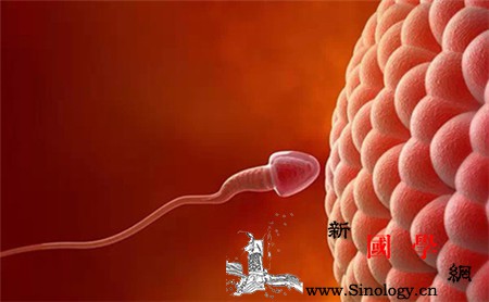 排卵期出血是怎么回事儿排卵期为什么会出血呢_排卵期-性激素-息肉-月经不调-怀孕准备