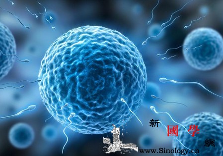精子跟卵子相斥的原因终于找到了！_相斥-免疫性-卵子-抗体-遗传优生