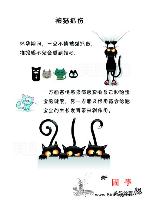 意外被猫抓伤孕妈怎样应对_狂犬-接种-寄生虫-胎儿-