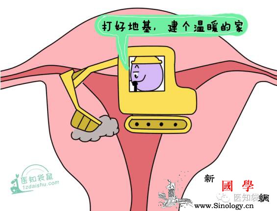 孕期腹痛：正常现象还是“胎不稳”？看完你就心_胎盘-腹痛-孕期-阴道-