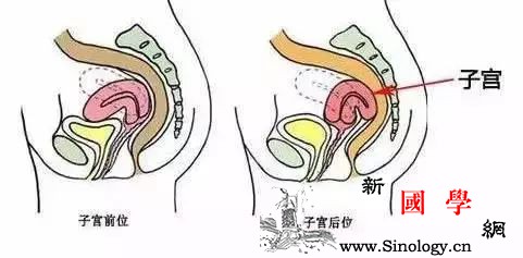 如何提高受孕概率？同房时在屁股下面垫枕头有用_同房-受孕-精液-子宫-怀孕准备