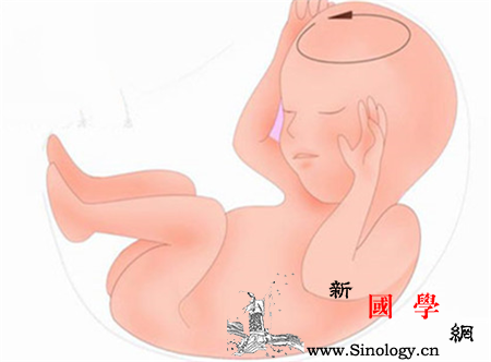 胎儿头围标准_胎儿-测量-定期-年内-