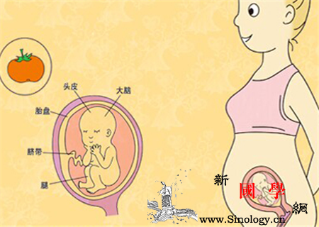 怀孕3个月胎儿b超图_超图-形成了-脚趾-骨骼-
