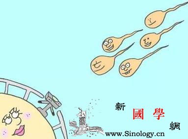排卵期同房不是很容易怀上吗？怎么一年依旧未怀_排卵期-禁欲-同房-精子-怀孕准备
