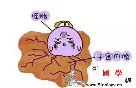 子宫内膜薄影响怀孕？教你这样吃让子宫内膜涨起_雌激素-子宫-子宫内膜-因素-怀孕准备