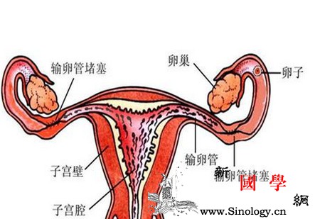 输卵管有问题怎么备孕_试管婴儿-梗阻-输卵管-粘连-怀孕准备