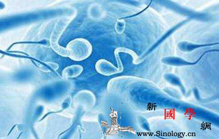 男性备孕要补充什么?哪些坏毛病要改掉?_叶酸-睾丸-孕期-摄入-怀孕准备