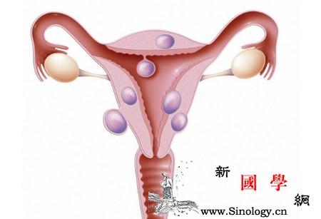 输卵管常见疑问解答提高你的怀孕率_输卵管-排卵-炎症-检查-怀孕准备