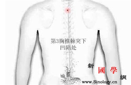 女性拔火罐位置示意图这几个位置效果最好_胸椎-示意图-功效-疳积-怀孕准备