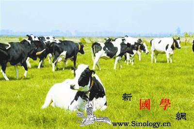 有机奶粉和普通配方奶粉的区别有机奶粉是怎样_饲草-有什么-脂肪酸-奶粉-