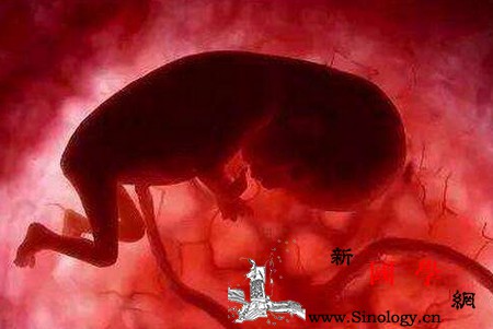 胎停越来越多哪类人群更易中招？_胚胎-流产-激素-子宫-怀孕准备