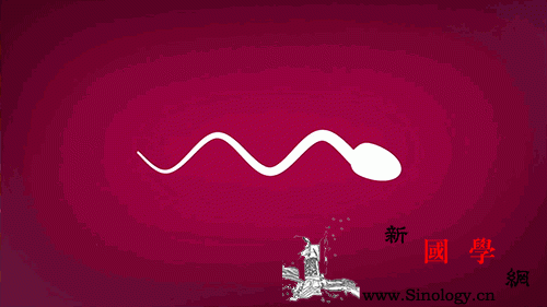 怀孕为啥要提前三个月做准备？_卵子-精子-排出-个月-怀孕准备