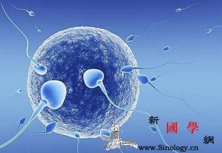 夫妻备孕前3个月老公该怎么做？_精子-畸形-个月-男性-怀孕准备