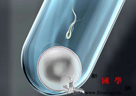 如果你正准备做试管婴儿这三点你了解了吗？_试管婴儿-胚胎-成功率-生殖-不孕不育