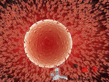 容易怀孕的女性有这3个特征你占了几个？_排卵期-例假-怀孕-规律-怀孕准备