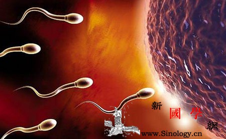 男性想要健康备孕该如何准备_受孕-精子-影响到-男性-怀孕准备