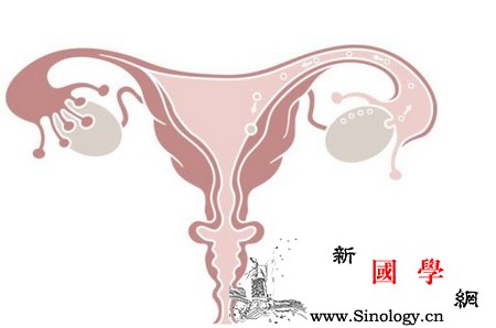 子宫内膜薄备孕女性比较关心的几件事_卵泡-调经-妊娠-厚度-怀孕准备