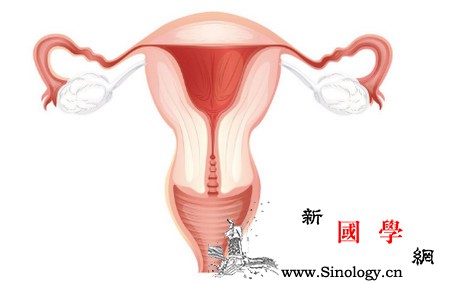 损伤胎儿的几种体质想要备孕需提前知道_血虚-阴虚-几种-猪血-怀孕准备