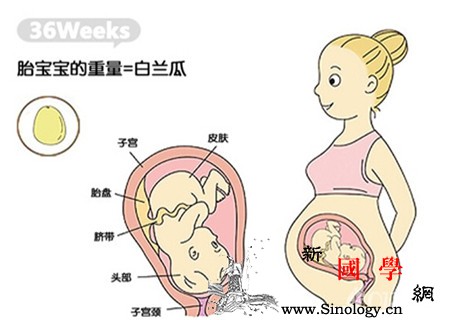 怀孕36周注意事项_栓子-助产士-分娩-哺乳-