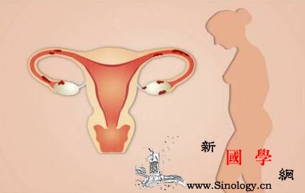 关于备孕你的身体达到这些条件了吗？_卵细胞-排卵期-受精卵-输卵管-怀孕准备