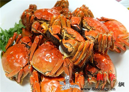 月经期间能吃螃蟹吗螃蟹吃不对危害多多_吃了-腹泻-螃蟹-月经-孕前饮食