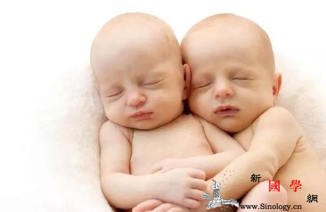 双胞胎不是你想生就能生你是这5类容易生双胞_双生-双胞胎-概率-生育-生男生女