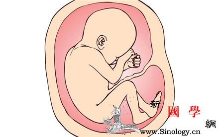 36周胎儿双顶径标准_股骨-胎儿-值为-准妈妈-
