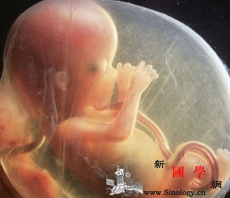 当备孕遭遇胎停育如何保证下次顺利好孕？_母体-胎儿-子宫-因素-