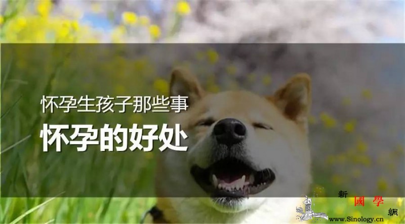 怀孕生孩子那些事之怀孕的好处_前列腺素-痛经-孕期-怀孕-