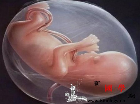 胎儿的尿液粪便去哪了？_羊水-尿液-母体-粪便-