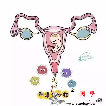 孕期小内内总是湿漉漉的这正常吗？_羊膜-致病菌-阴道炎-分泌物-