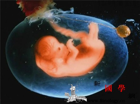 羊水指数是什么意思_足月-象限-羊水-妊娠-