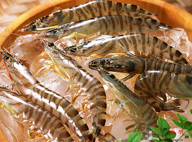 宝宝发烧可以吃虾吗孩子发烧时能不能吃虾饮食_辛辣-感冒-饮食-宝宝-
