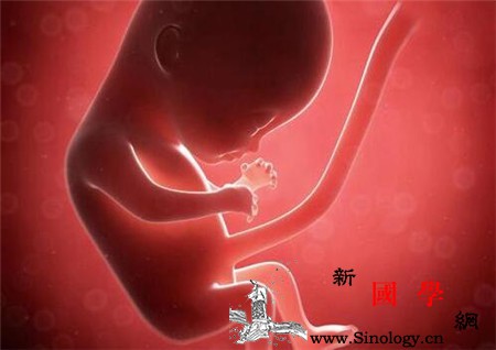 孕囊离子宫切口多少厘米安全_胚胎-流产-孕妇-离子-