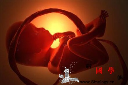 胎儿打嗝判断胎位图解_腹壁-胎位-打嗝-肺部-