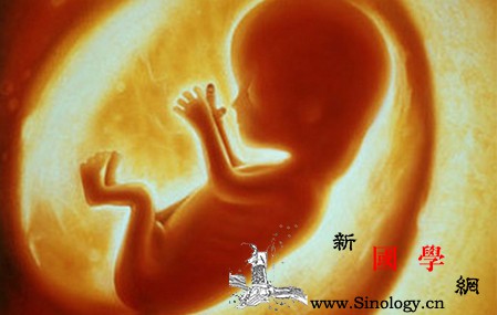 胚胎停育不要忽略我们身边的“隐形杀手”_胚胎-妊娠-胎儿-孕妇-